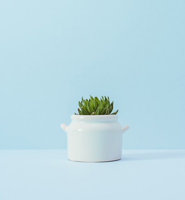 Mockups Design